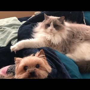 Meet your Posher, Donna